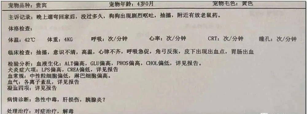 火腿肠|蹊跷！深圳小区宠物狗接连死去，疑似被投毒？警方介入