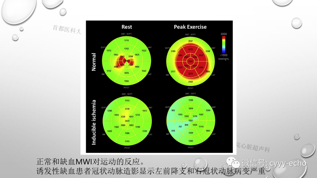 4e5b76a2a0334c529205faf1068f92cc.png