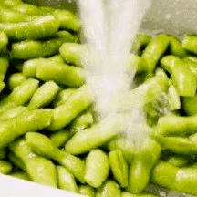 几月份种豆比较好 7022b2c87291465b8ce1304530229ffe.png