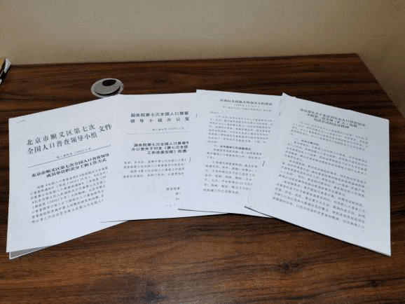 镇第七次全国人口普查工作方案_第七次全国人口普查(2)