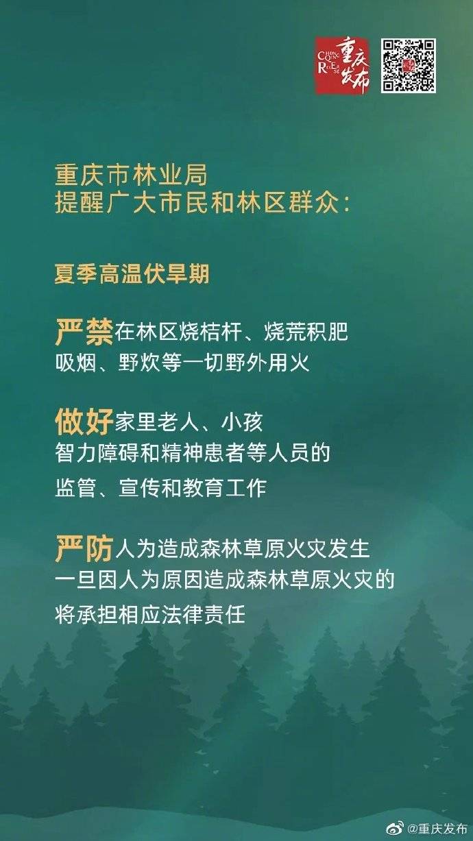 林区|严禁在林区烧桔杆、野炊等一切野外用火