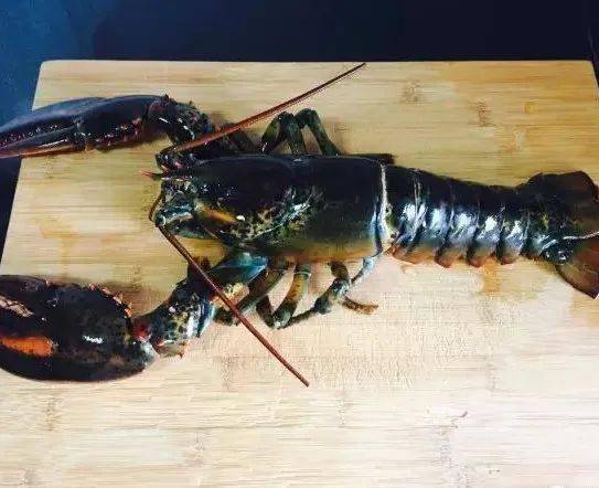 比较大的虾叫什么名字 407297069ce44265b9af71c073095f77.jpeg