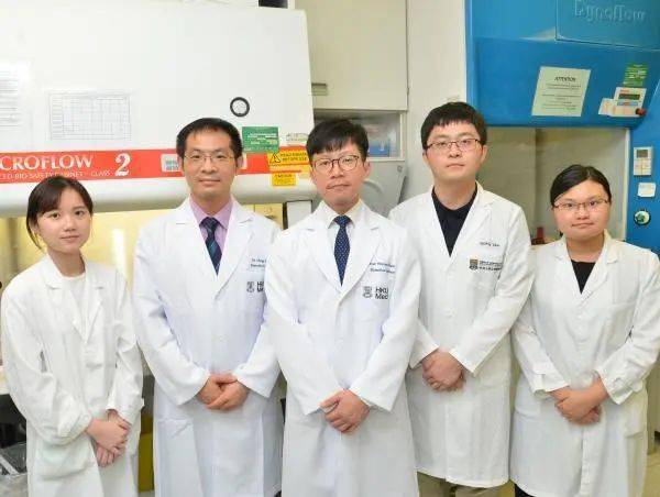 港大医学院发现全新DNA修复网络以作为癌症药物新标靶