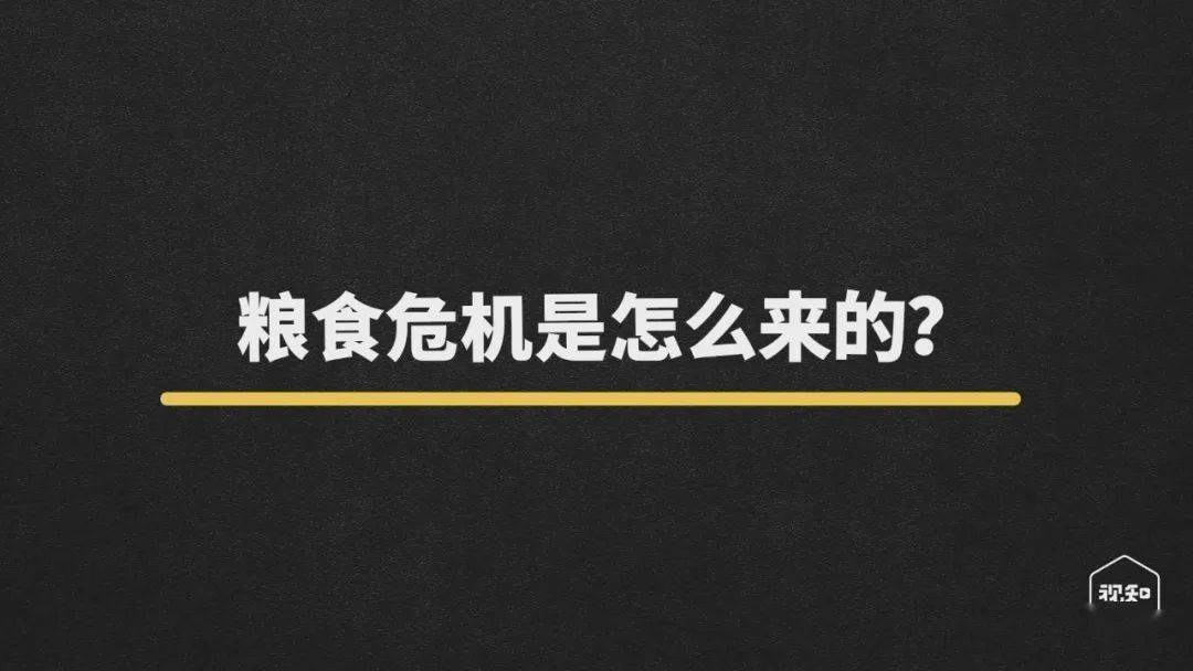 饥饿人口2019_饥饿人口图片(2)