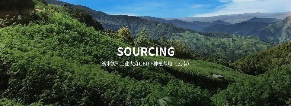 保养|张雨绮每月保养脸疑花70万，听了伊能静的金额……贫穷限制了我的想象