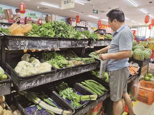 菜价|预计到9月中旬，洛阳蔬菜价格将整体回落