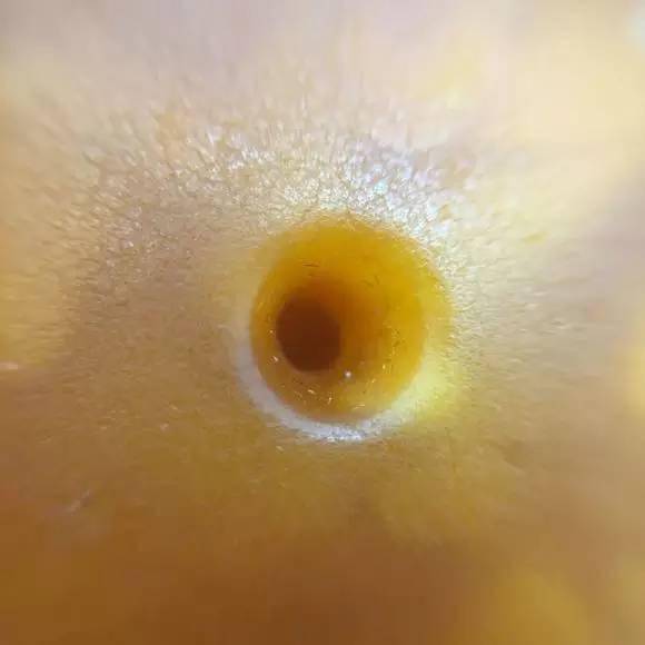 包浆|你的是不是老珠子，自己心里没点X数吗？