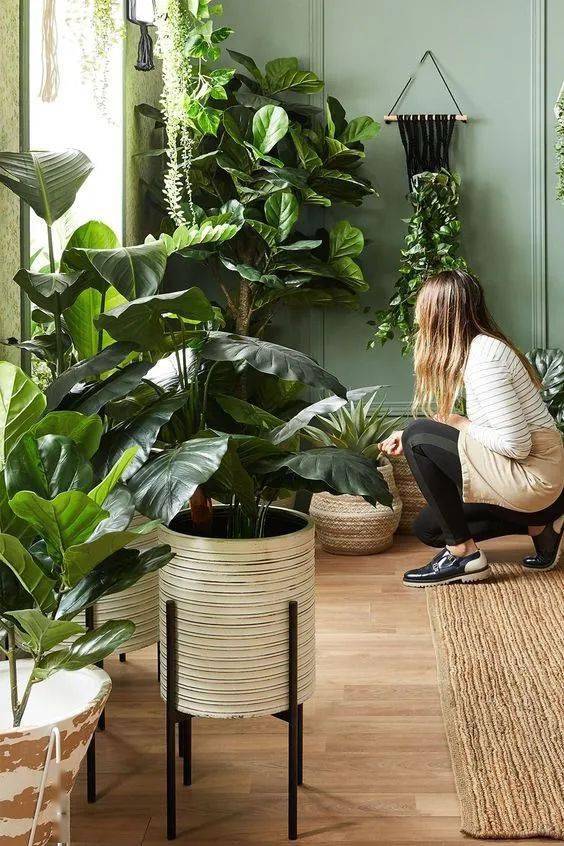 杂物间|别人家像个小森林，你家堆得像杂物间，她们是怎么做到的？