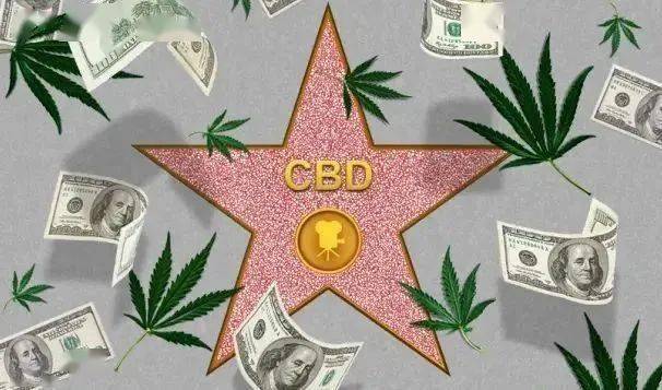 保养|张雨绮每月保养脸疑花70万，听了伊能静的金额……贫穷限制了我的想象