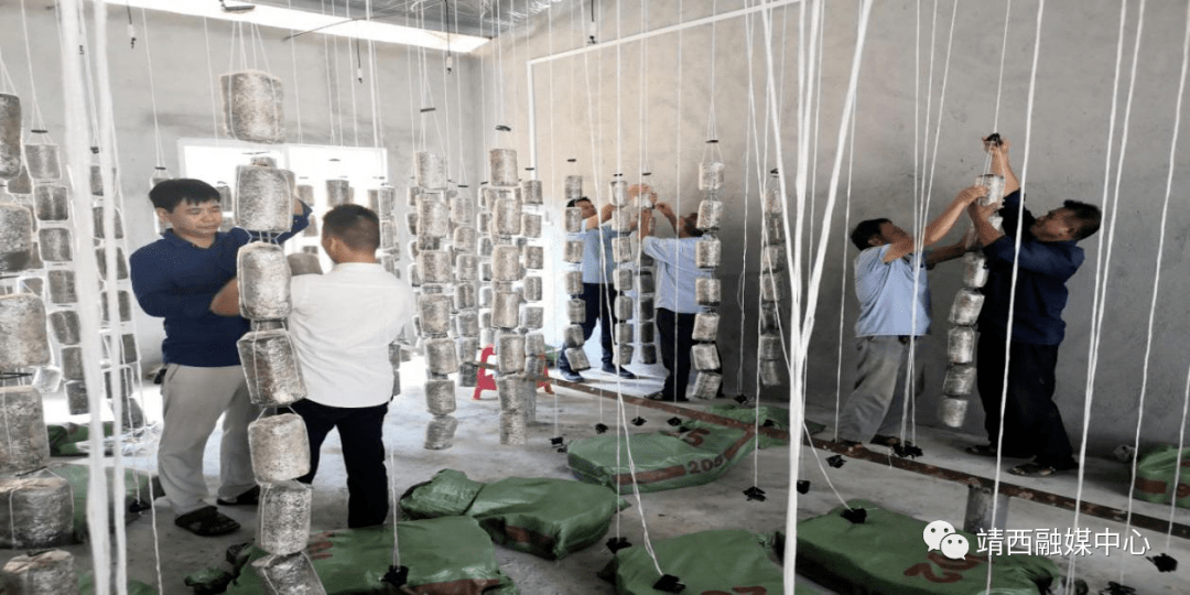 无集体产业，经济总量小_集体无意识
