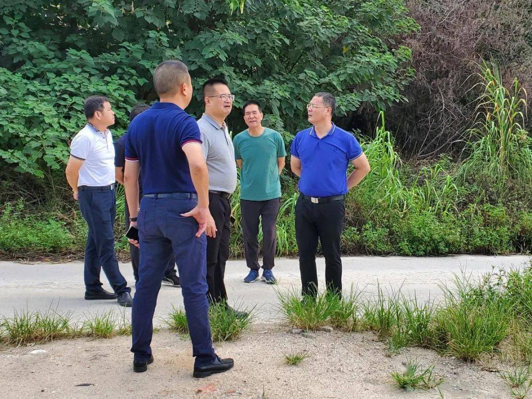 南安市官桥镇经济总量_南安市官桥镇黄山村