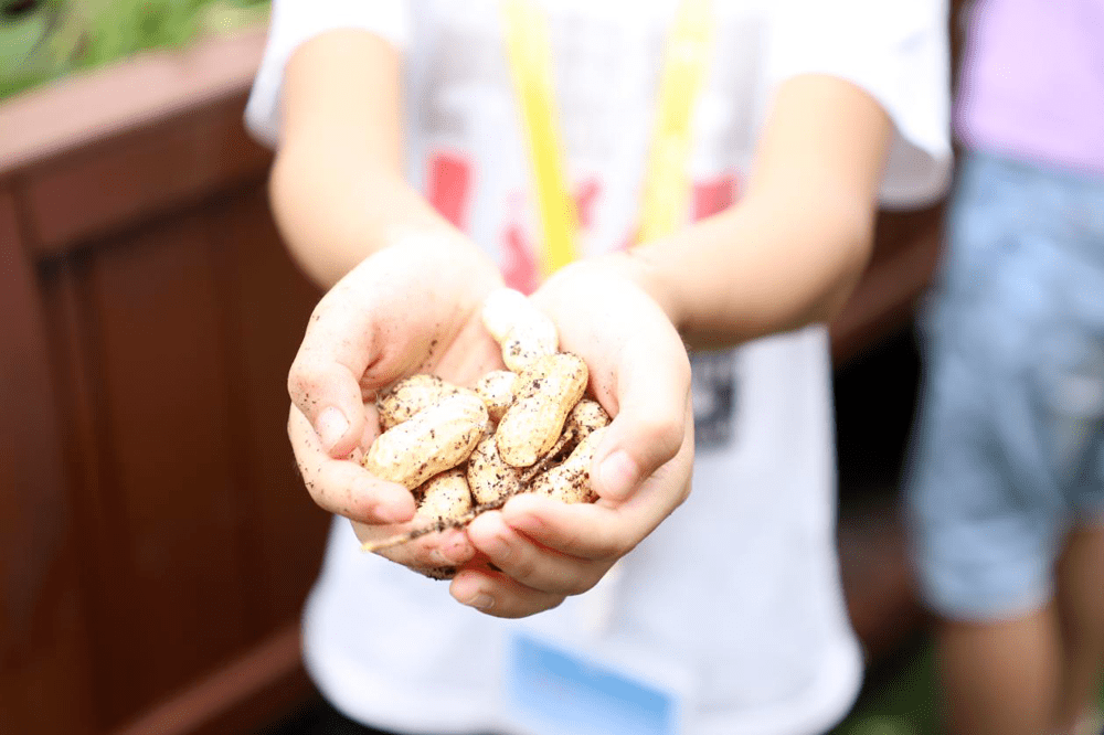 2020年上半年杭州市g_杭州市行政区划图2020(3)