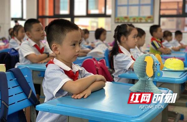 开福区|开学啦！长沙市开福区金湾小学开课玩转环保与创意