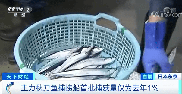 捕获量|历史罕见！这种鱼价格飙涨5倍，因为捕不到…