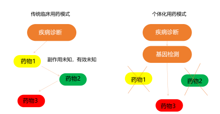 银丰基因成人个体化用药基因检测提供药物疗效避免药物毒副作用一次