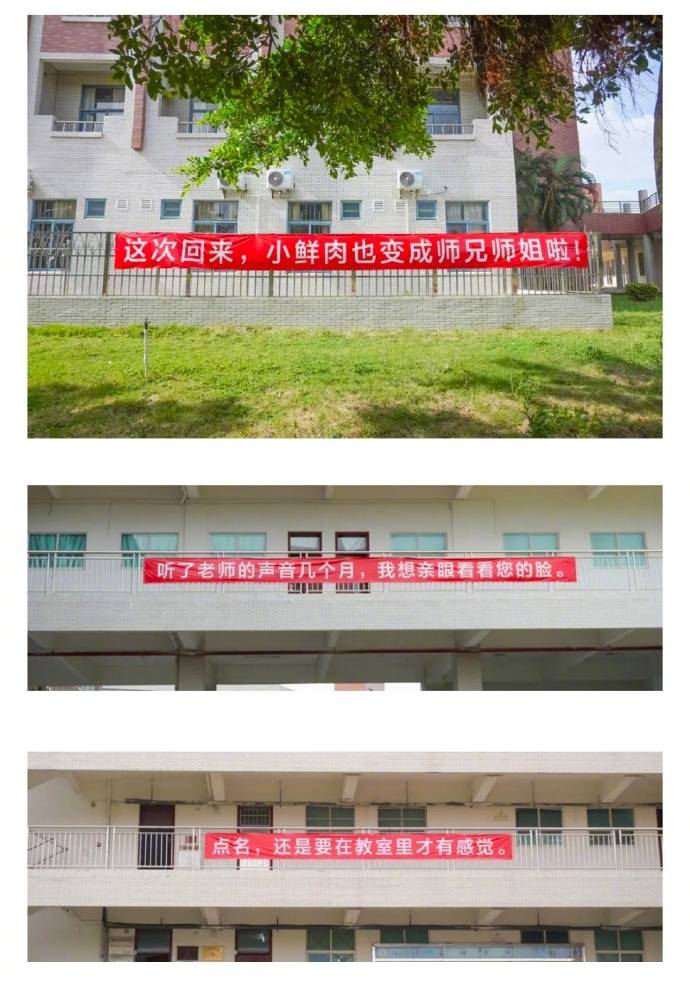 横幅|暖到心里！开学季最暖高校横幅