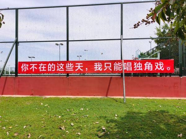 横幅|开学前，竟被学校的横幅弄哭了