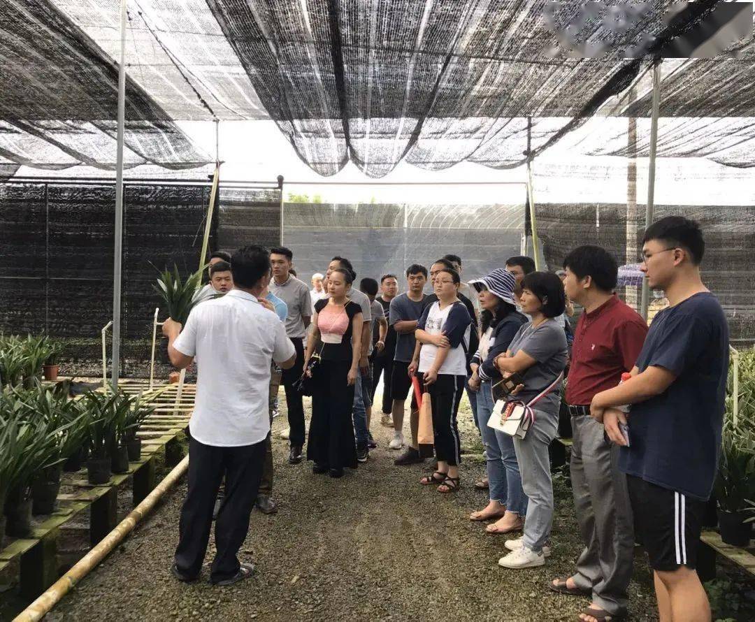 市农业农村综合服务中心举办农民专业合作社信息化和农业品牌建设培训