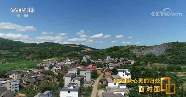 钟芳蓉|钟芳蓉：“我只是一个平常的选考古系的学生”