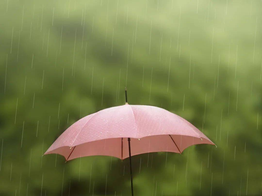 沈阳今天又要下雨辽宁局部暴雨大降温已在路上