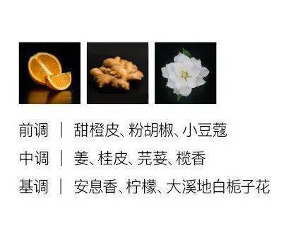 Harris|拒绝撞香！这些小众香水高级又浪漫
