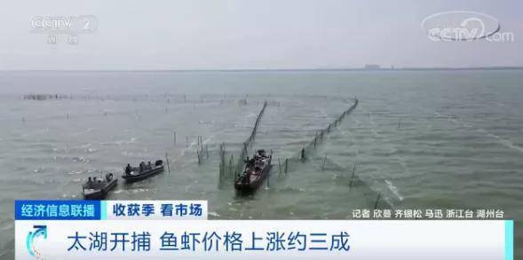 上市|开捕！384艘渔船开工！这里的鱼虾一上市就被抢购一空！价格却涨了三成，因为…