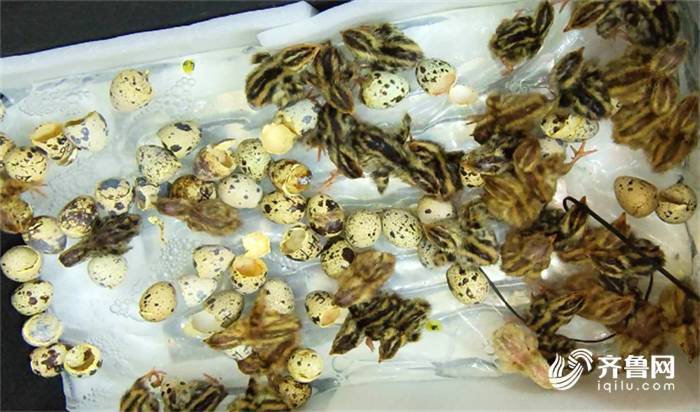 威海多|新学期新校园 威海多所新建学校、幼儿园投入使用