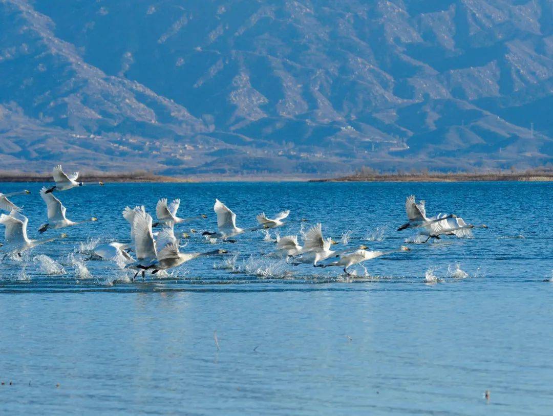 密云水库水位最高多少米 aab05c35e4d64e89a0e40ffdd24d8235.jpeg