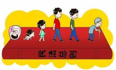 文章配图-14