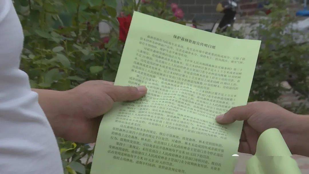 保护森林资源宣传明白纸