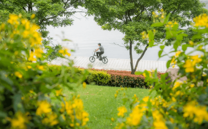 2020年中国最富有省_2020中国最具财富创造力大学排名发布,北京大学成中(2)