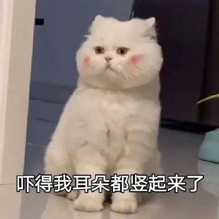 90后都是被动画片骗大的(组图)