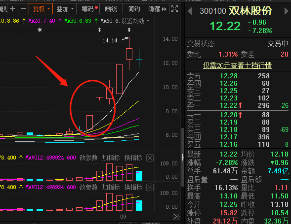 双林股份|这只股票5天涨108%，收到关注函后，股价掉头向下