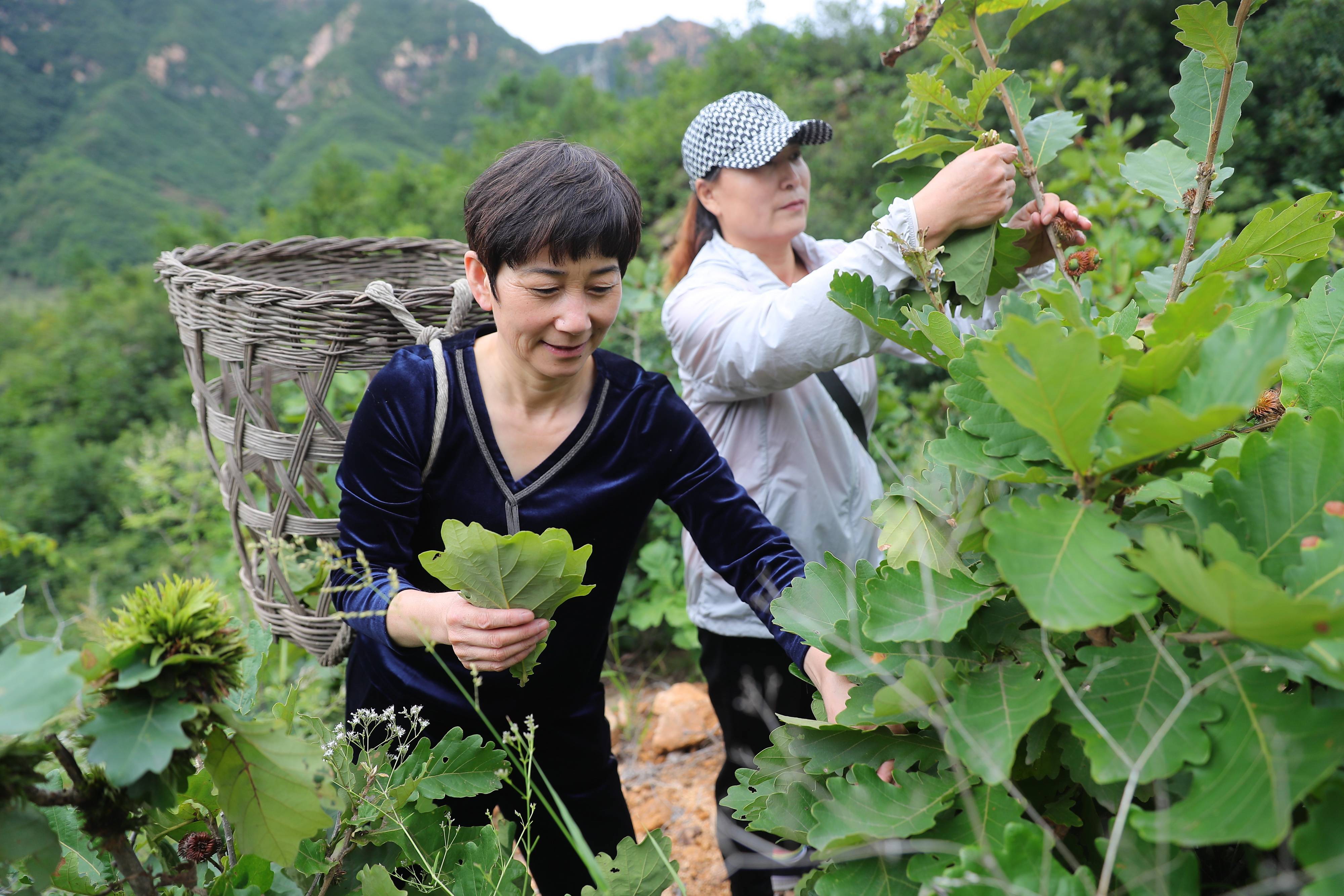 有钢琴和曲谱的软件(2)