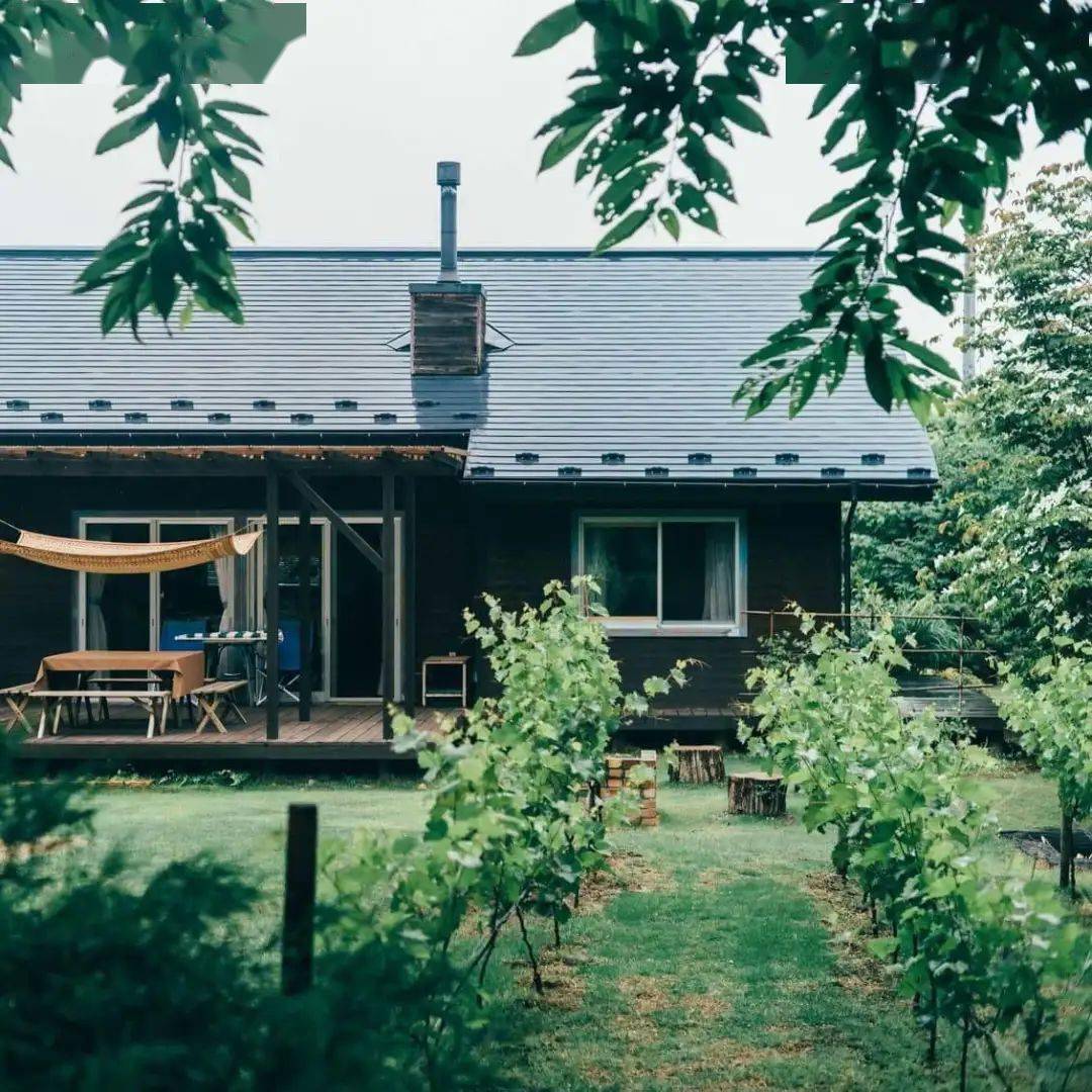 生活|73岁日本李子柒从时尚编辑变身乡村主妇，她把生活过成了宫崎骏的漫画