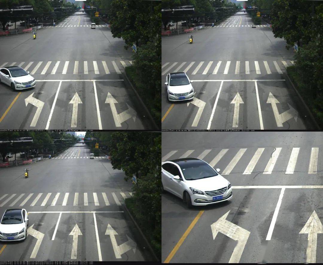 鄂k3k518 蒲阳大道与粮贸街路口 逆向行驶