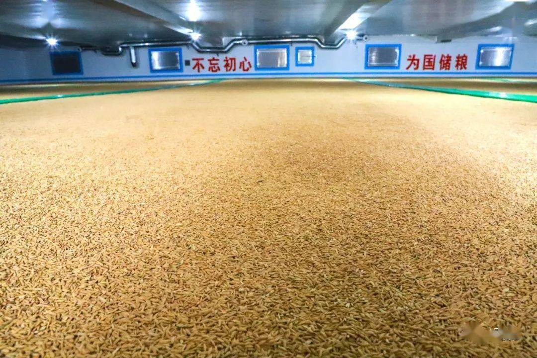 科学储粮 质量与安全同时在线