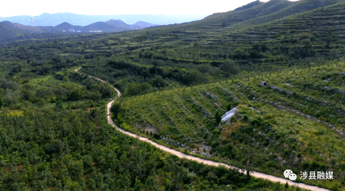 天台县平园村人口_天台县三合镇建设村