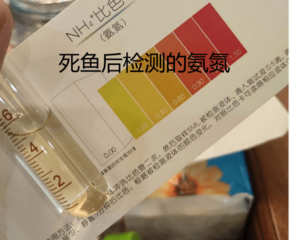 5996ab01146b4c23bf7a259c3bd18c37.png