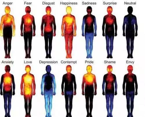 运动|你信吗？一项脑科学研究：把时间“浪费”在运动上，学生成绩反而会提高