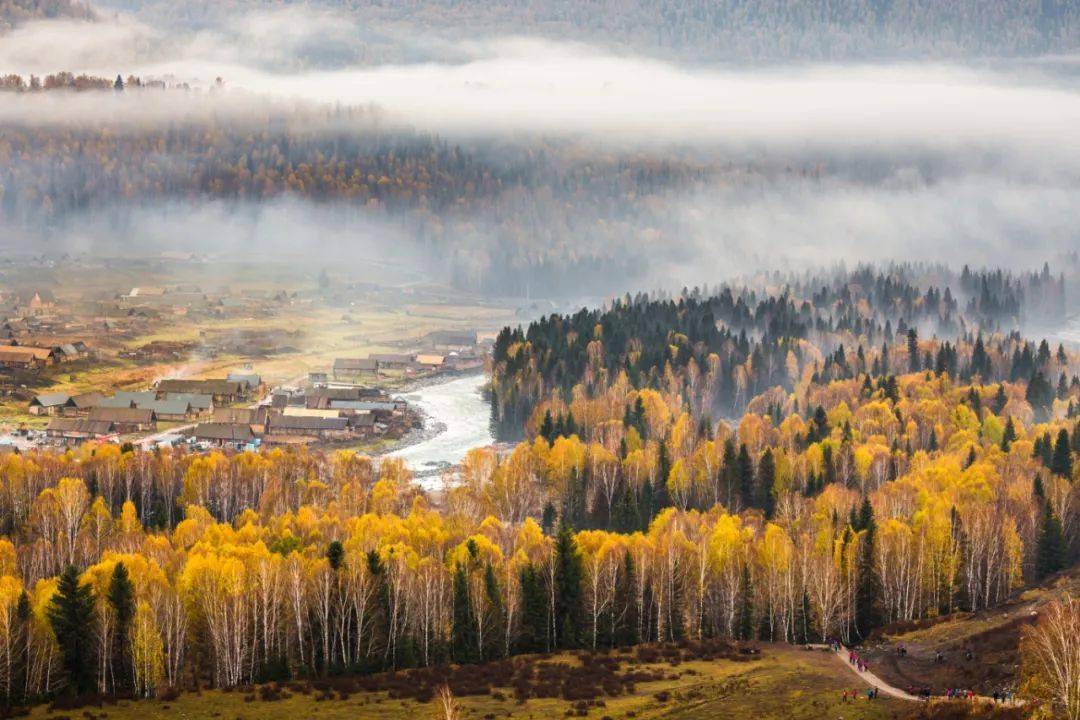 时节|露从今夜白