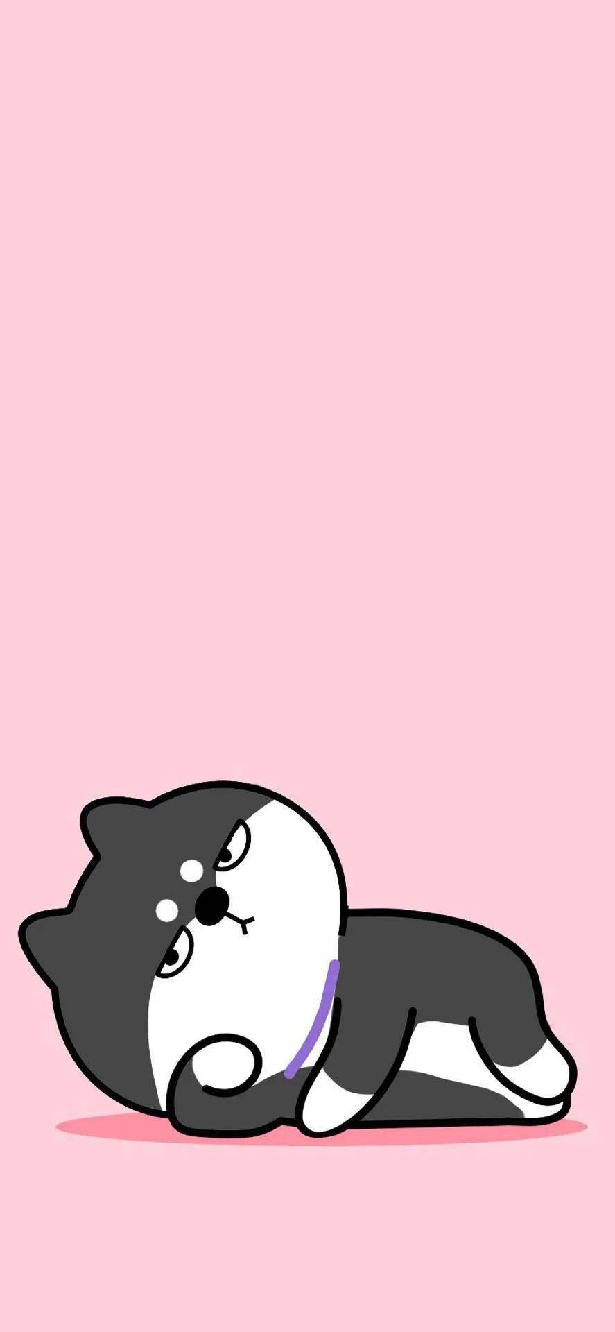 如何给手机装上壁纸 44379e61840841ba81cb5051303c6a6e.jpeg