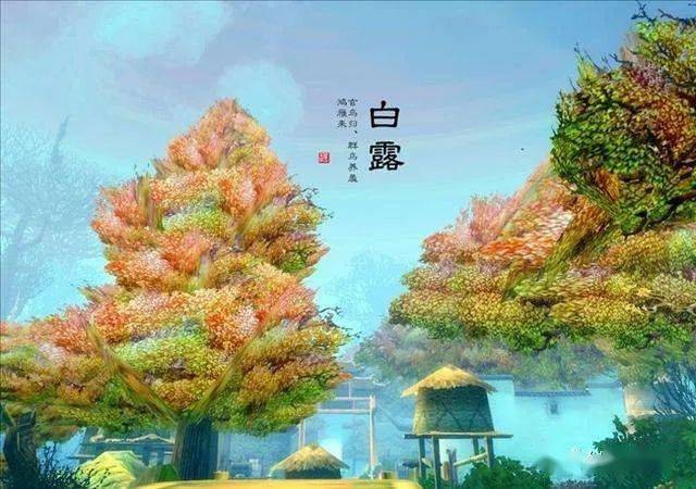 白露| 盈盈玉露知秋意 天凉请君勤添衣