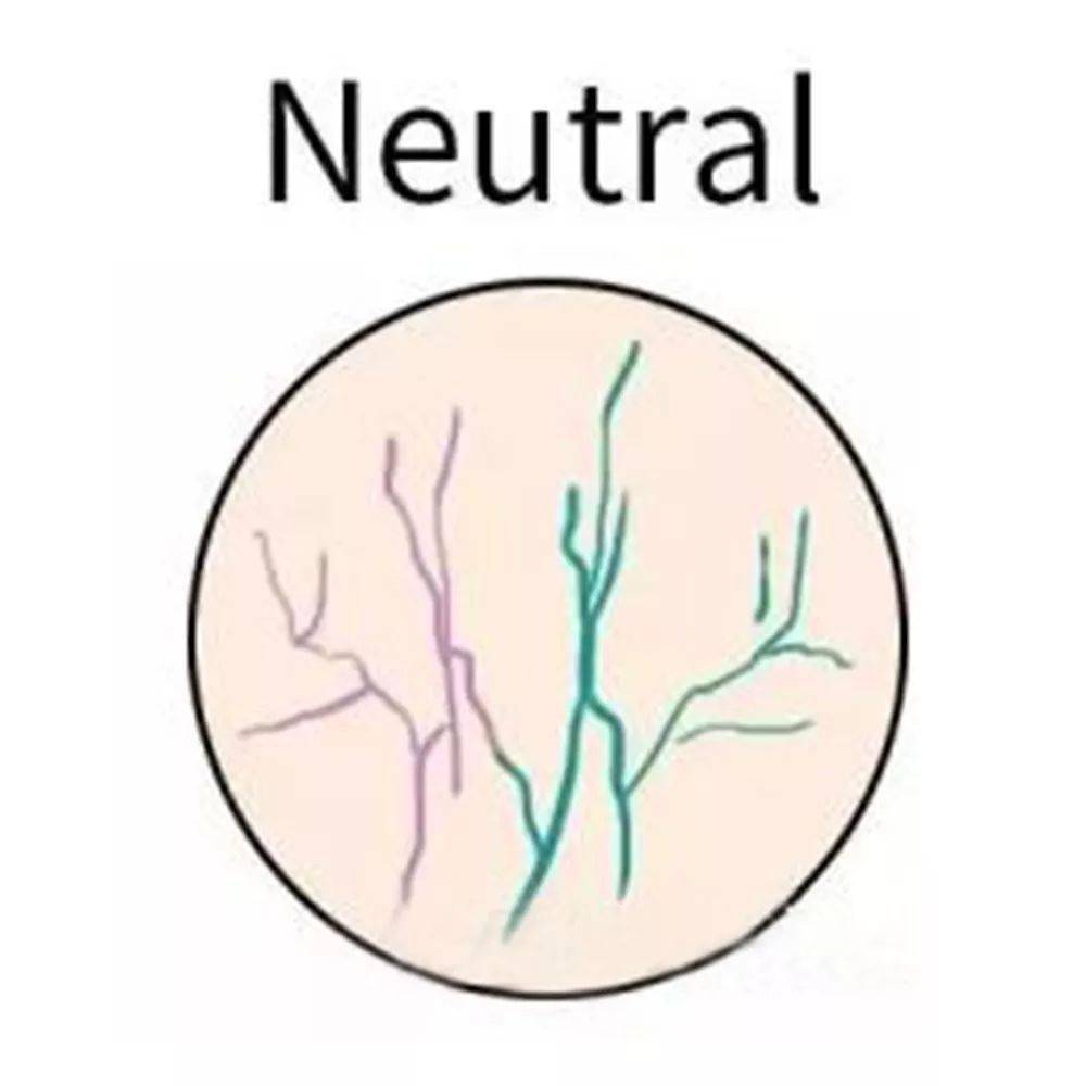 普通人|「发色」也该换季了!选对立刻显白3个度,普通人也能美出惊艳感!