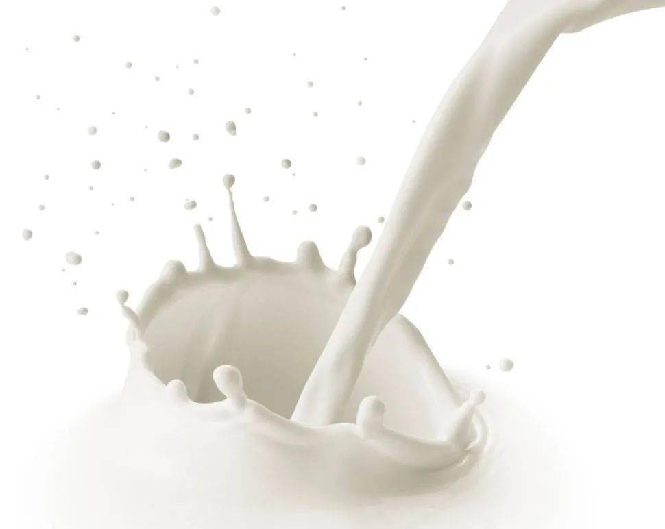 <b>2022年世界牛奶日·全国乳品