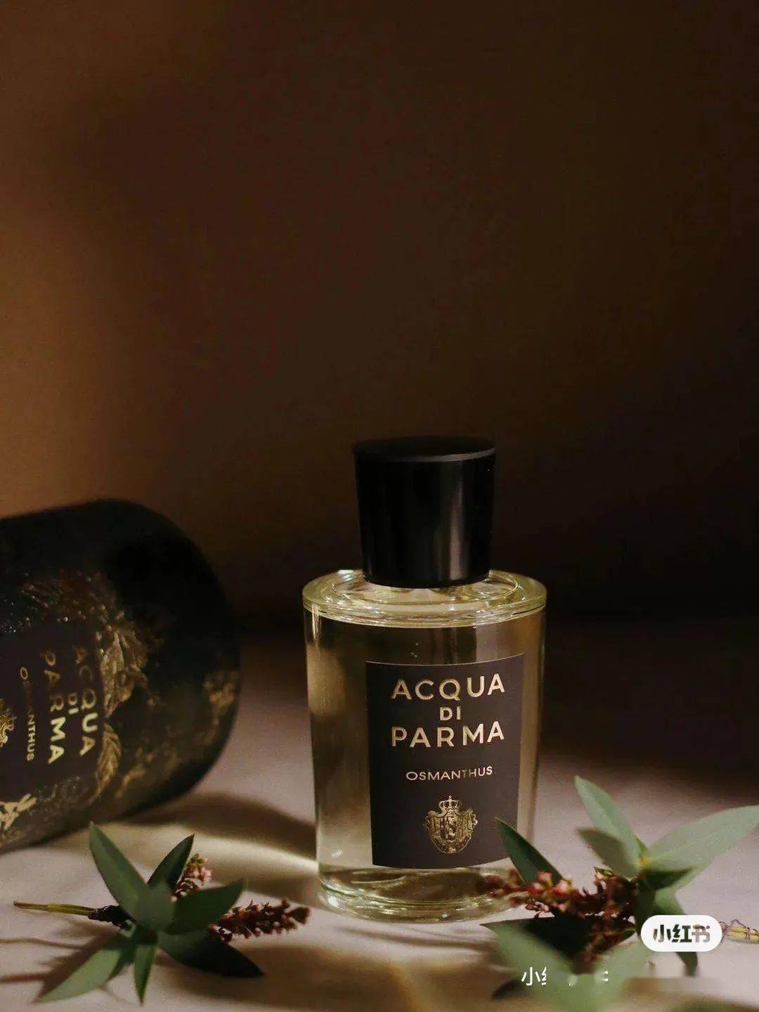 女生|这些让女生出彩的小心机，别说我没有告诉你！