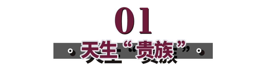 天际|杨杨：连英国女王都敢骗？还骗了700年！但美破天际，骗我也愿意！