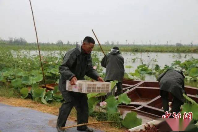 鱼台县经济总量_鱼台县运河三期规划图(3)