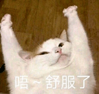 新剧|看完刘诗诗的新剧,终于知道为什么帅哥都喜欢她了!