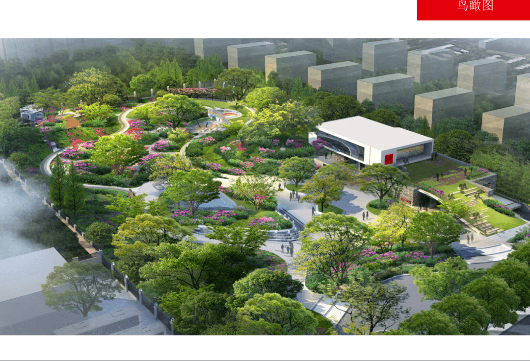 丽水中山公园的效果图来了!周围的居民有福了!公园里还有个